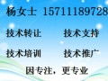 賴氨酸 生產、應用與市場前景探析